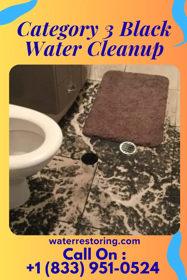 Category 3 Black Water Cleanup in Mifflintown, PA