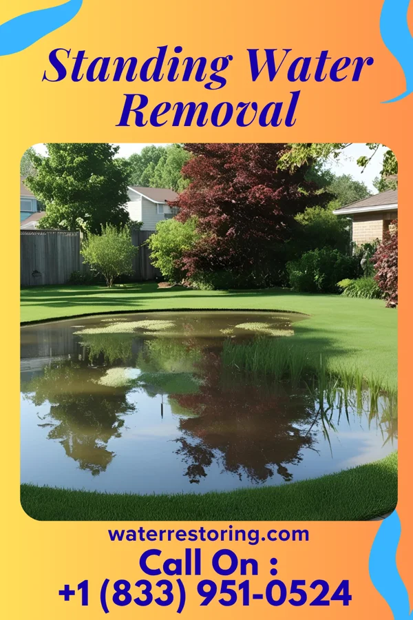 Standing Water Removal in Mifflintown, PA